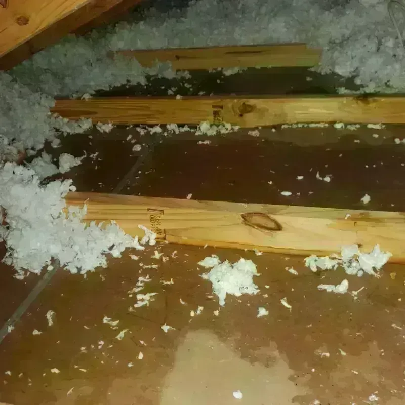 Attic Water Damage in Bucks County, PA